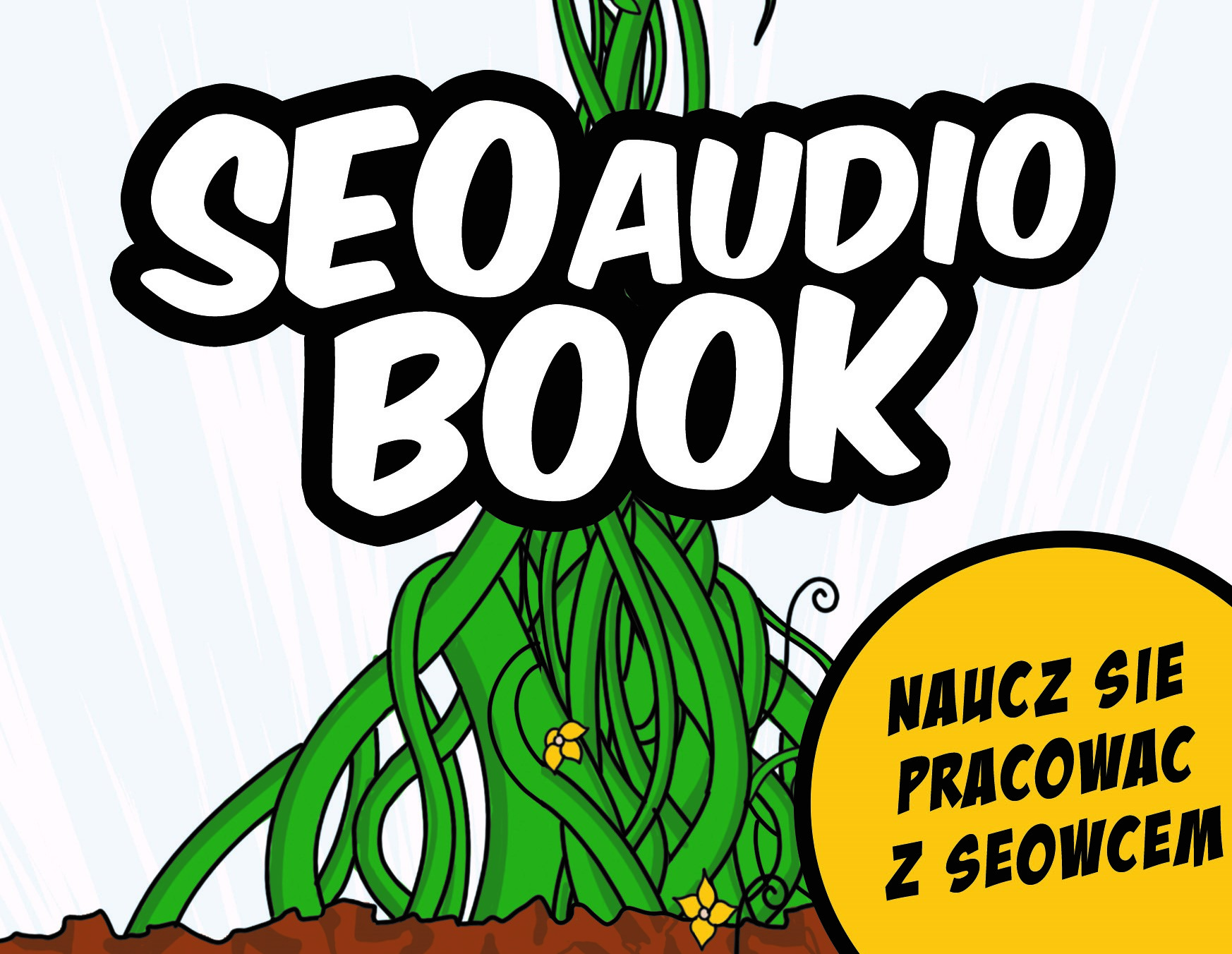 SEObook – porady SEO dla początkujących